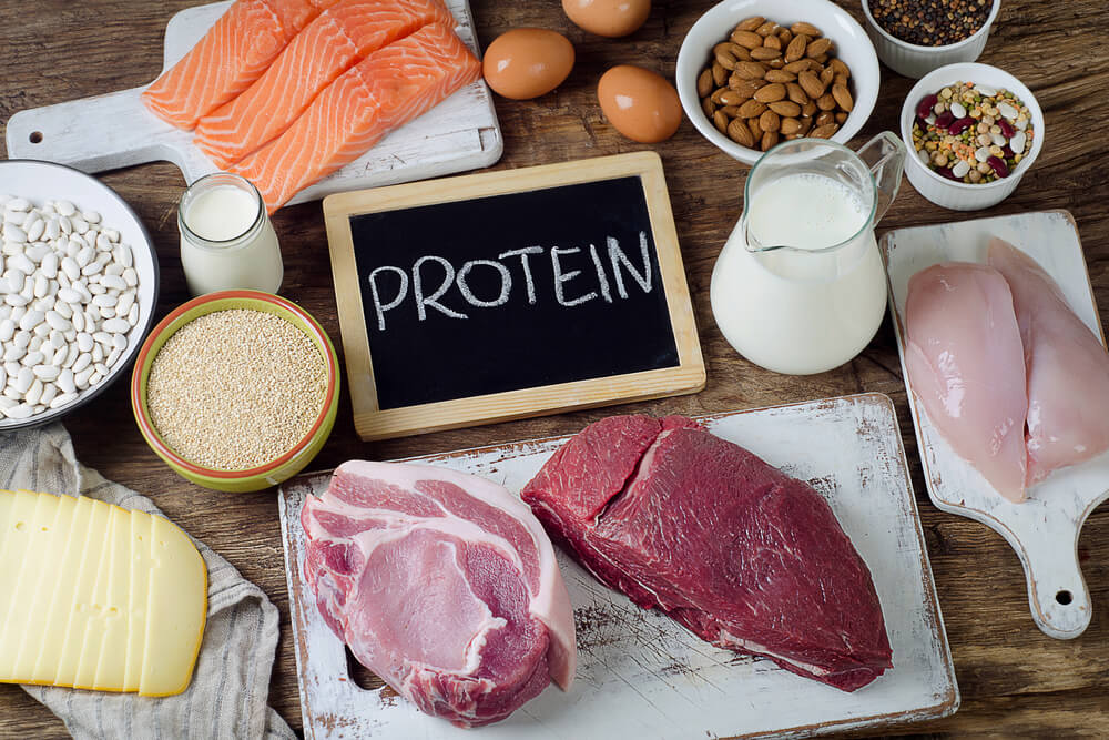 makanan protein 