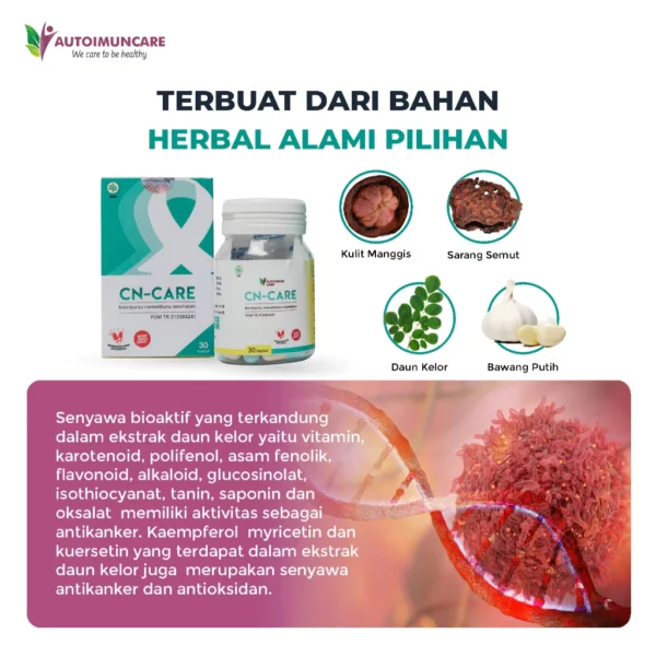 CN-CARE - Obat Herbal untuk Membantu Mengelola Tumor & Kanker - Image 4