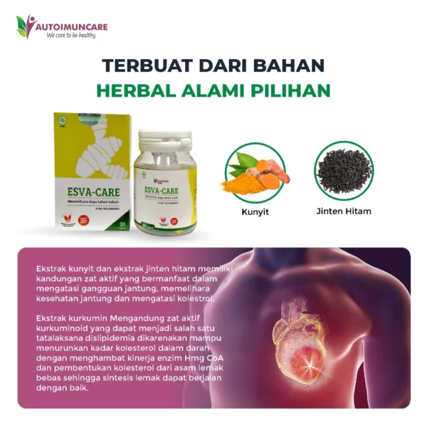 ESVA-CARE - Obat Herbal untuk Mendukung Kesehatan Jantung dan Hipertensi - Image 4