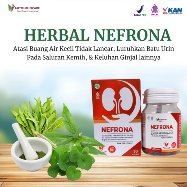 NEFRONA - Obat Herbal untuk Bantu Menjaga Kesehatan Ginjal & Saluran Kemih - Image 2
