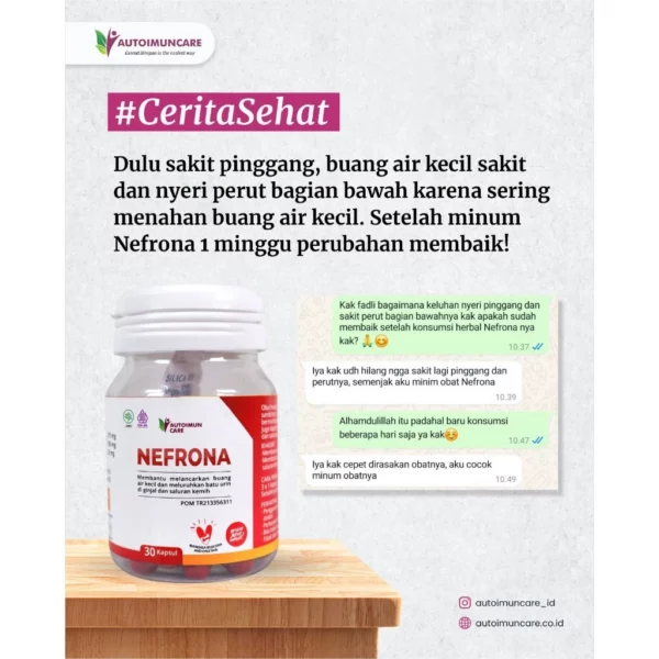 NEFRONA - Obat Herbal untuk Bantu Menjaga Kesehatan Ginjal & Saluran Kemih - Image 3