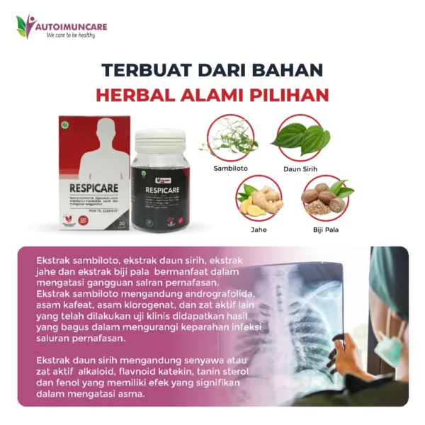 RESPICARE - Obat Herbal untuk Membantu Melegakan Pernapasan dan Menjaga Organ Paru-Paru - Image 4