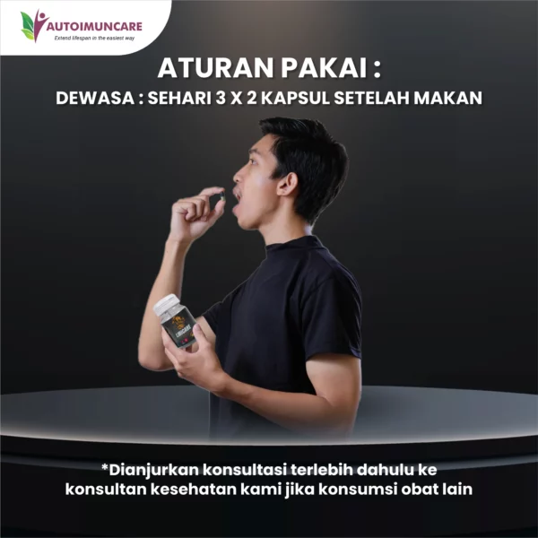 LIBICARE - Obat Herbal untuk Vitalitas dan Stamina Pria - Gambar 3